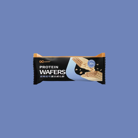 Blueberry Cheesecake Protein Wafer Gogonuts 1-Count  